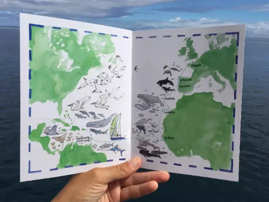 Bon voyage agathe livre pour enfants table a cartes 2