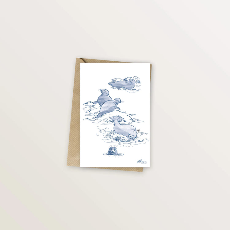 2 cartes postales dauphins et phoques