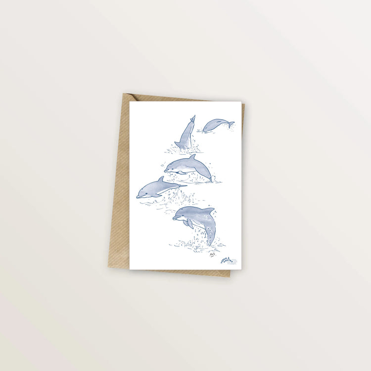 Carte postale dauphins