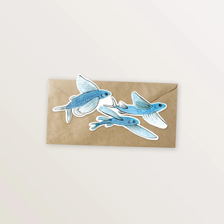 5 cartes, en forme d'animaux marins.