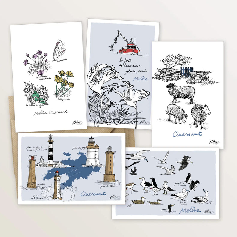 5 cartes postales des îles de Ouessant et Molène