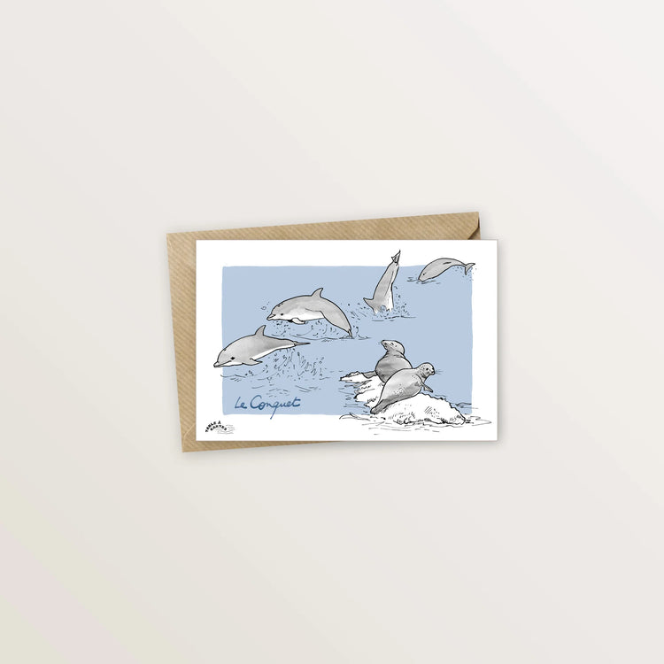 5 cartes postales : à la pointe Finistère