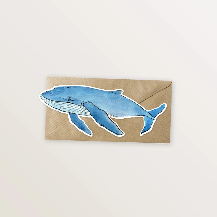 5 cartes, en forme d'animaux marins.
