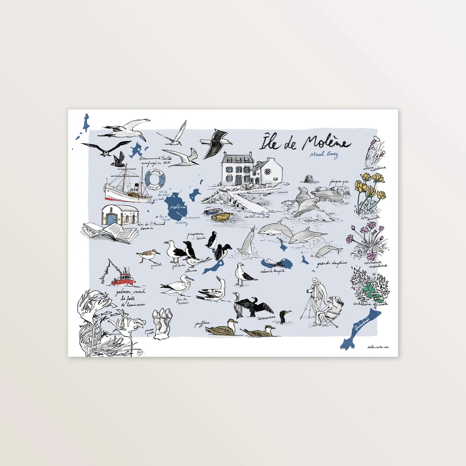 Ile de Molène - Affiche 40 x 30 cm