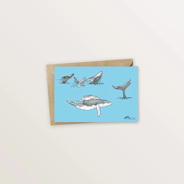 5 cartes postales pour explorer Moorea