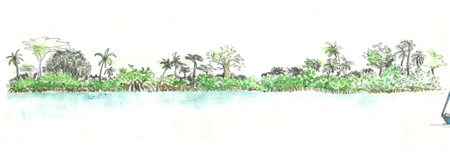 Casamance en bateau