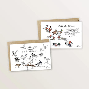 2 cartes postales - Oiseaux et canards de la baie de Somme