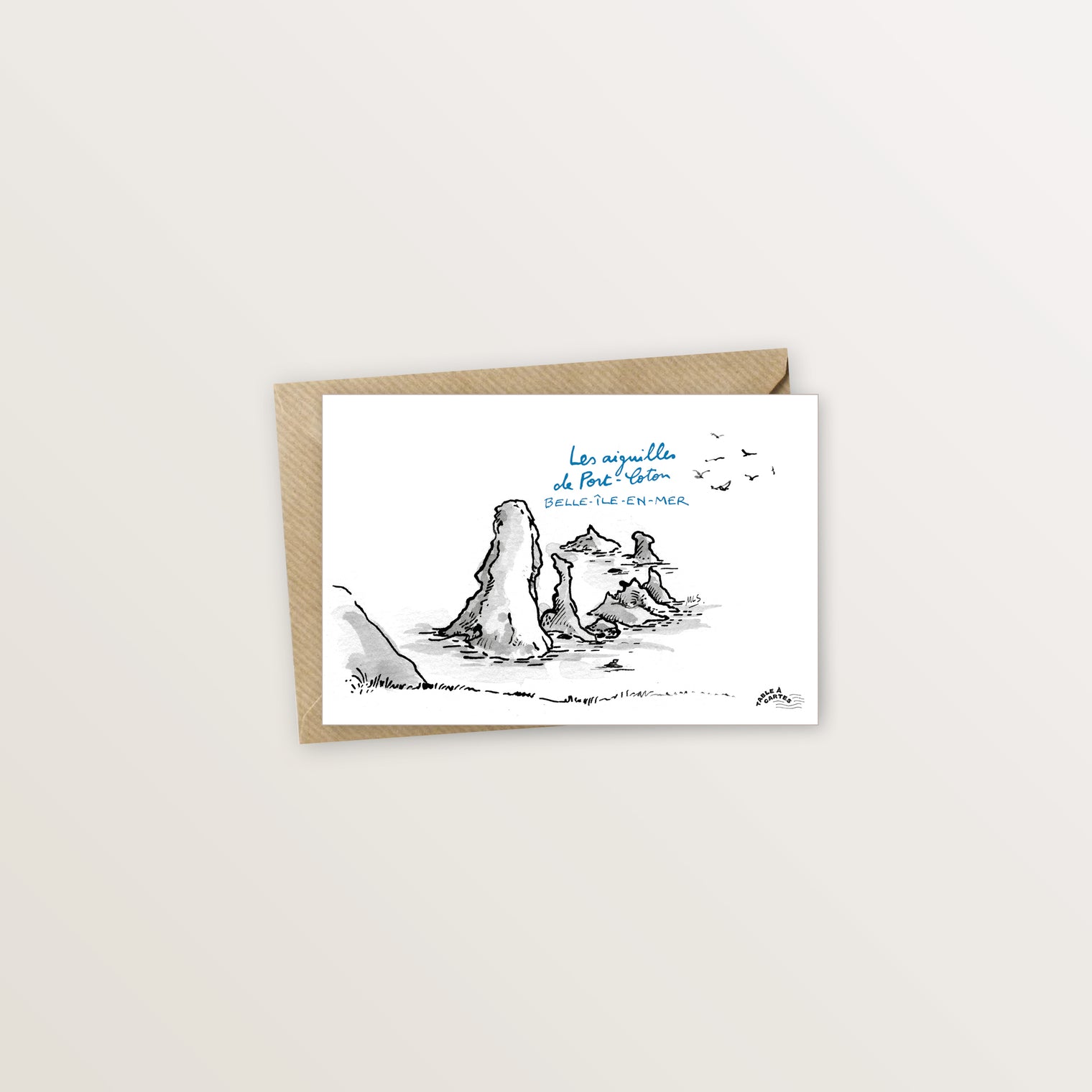 Carte postale Belle ile Port-Coton oiseaux