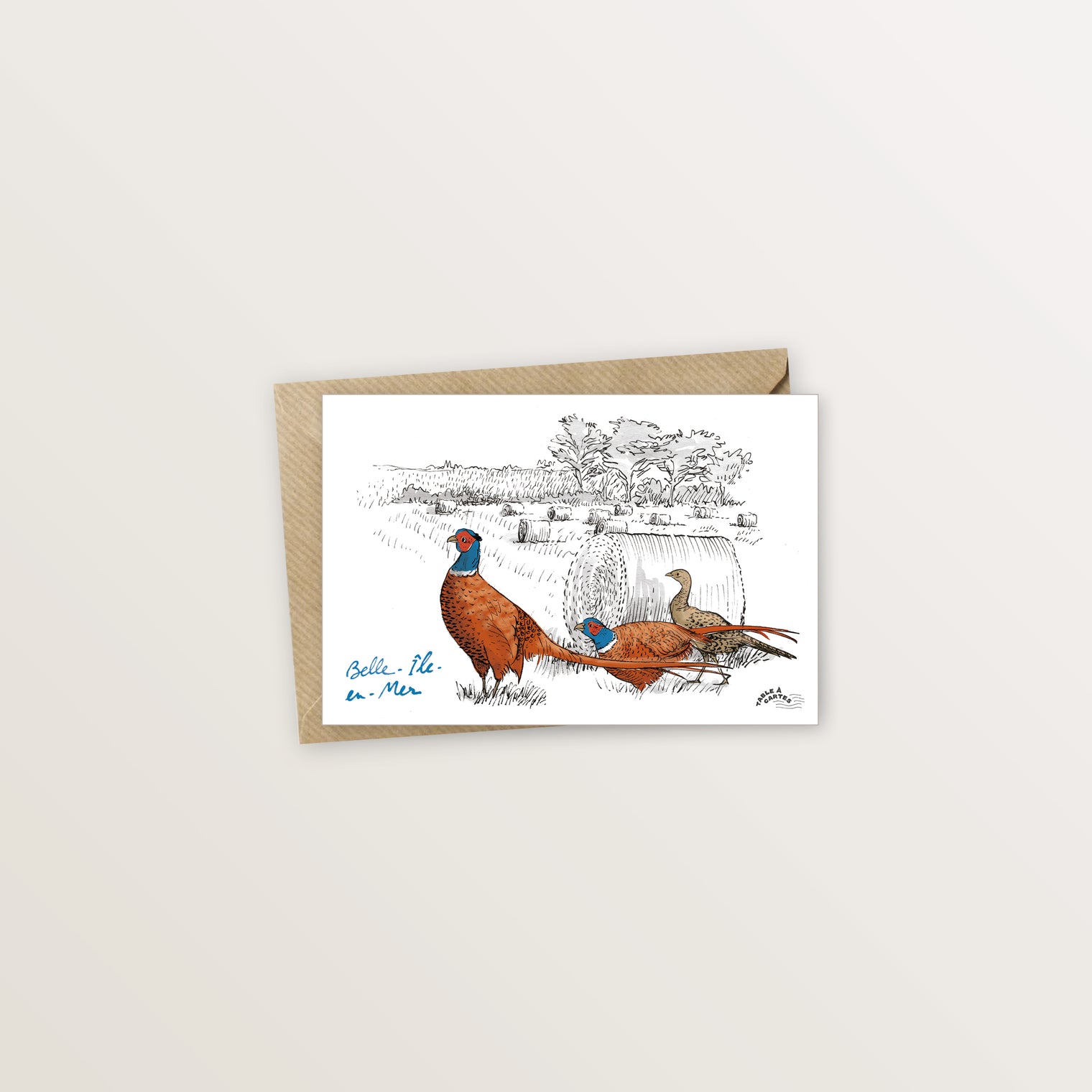 Carte postale Belle ile faisans