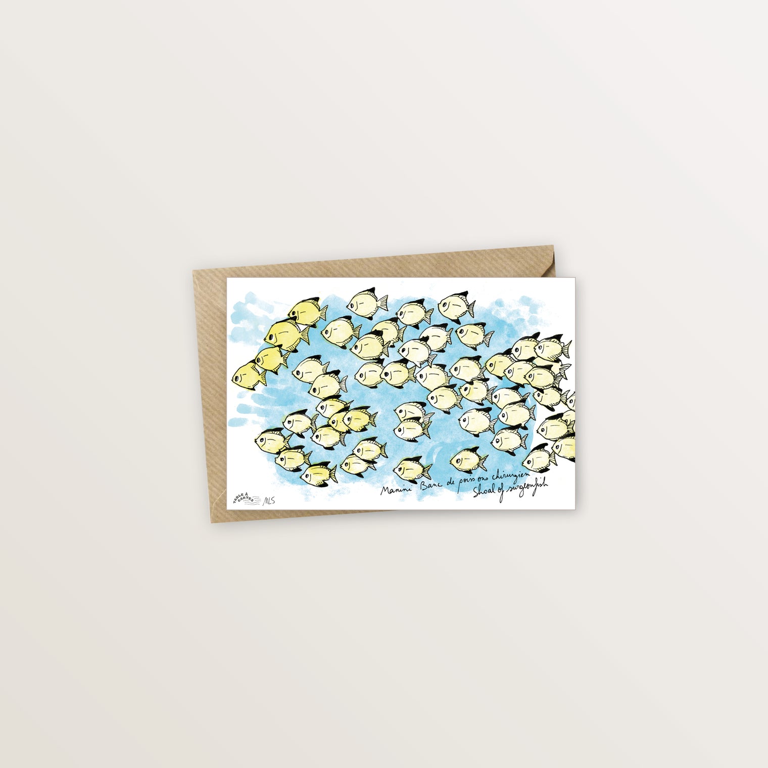 Carte postale lagon poissons chirurgien