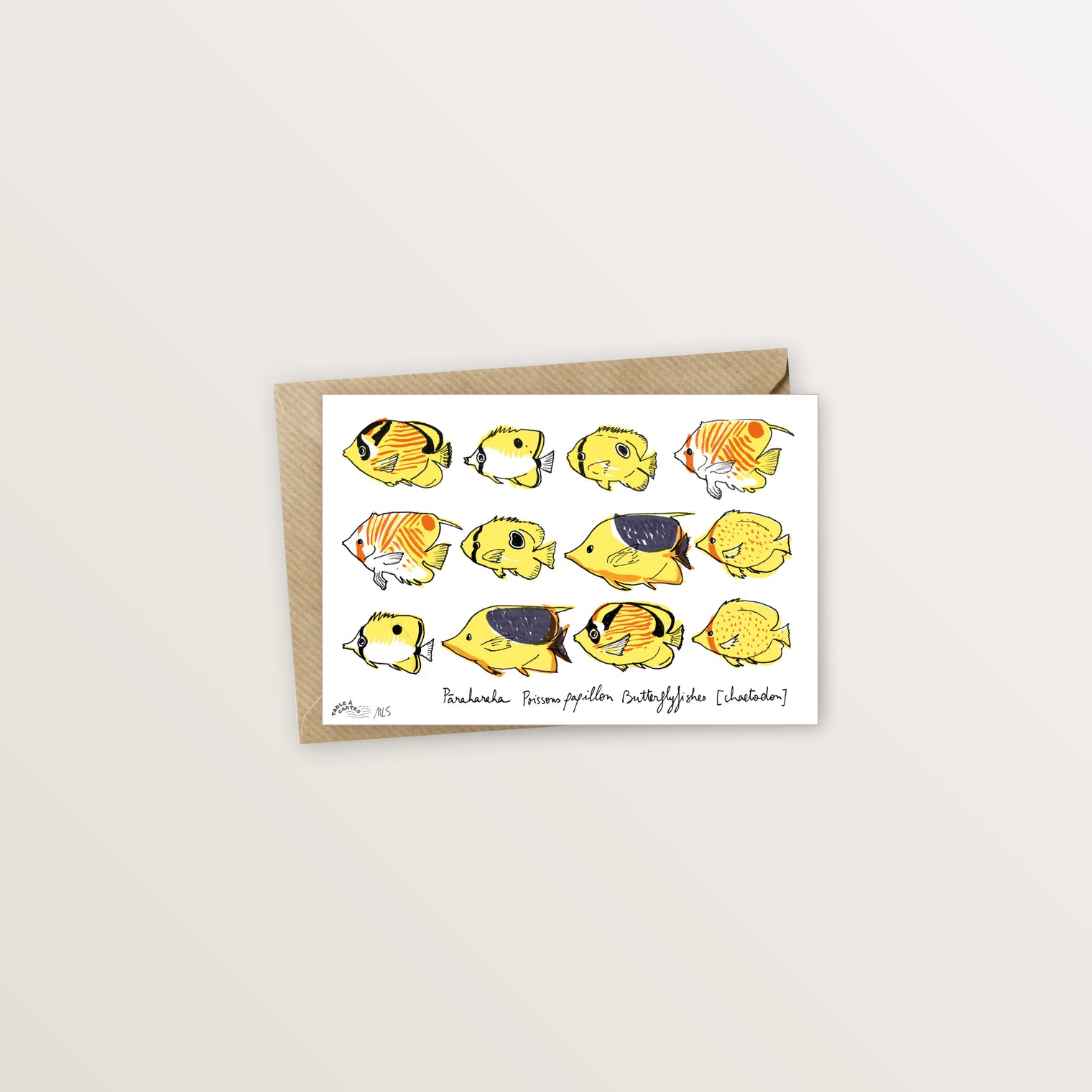 Carte postale lagon poissons papillon