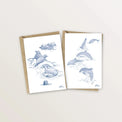 2 cartes postales dauphins et phoques