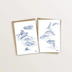 2 cartes postales dauphins et phoques