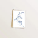 Carte postale dauphins