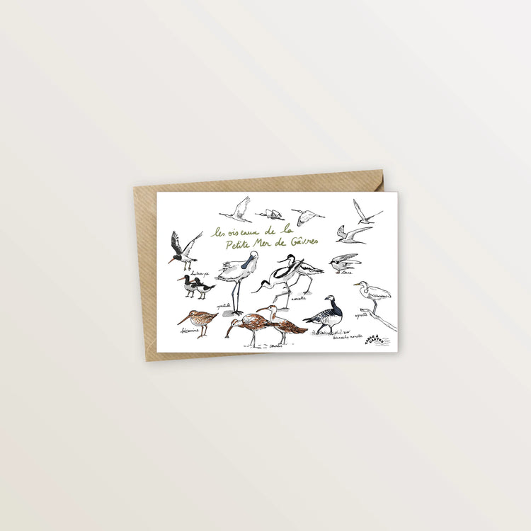 Carte postale de Gâvres - Les oiseaux de la Petite mer
