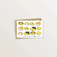Carte postale - Poissons chirurgien
