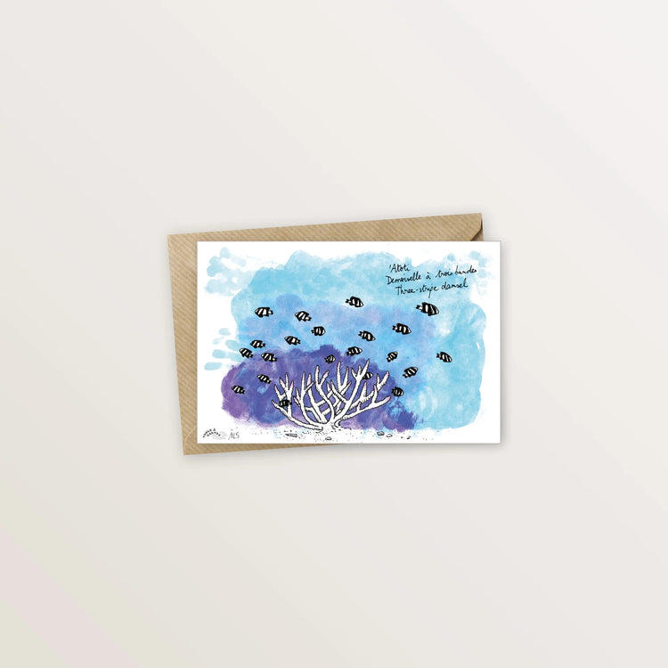 4 cartes postales animées : collection des poissons du lagon
