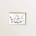 Carte postale - Oiseaux de la baie de Somme