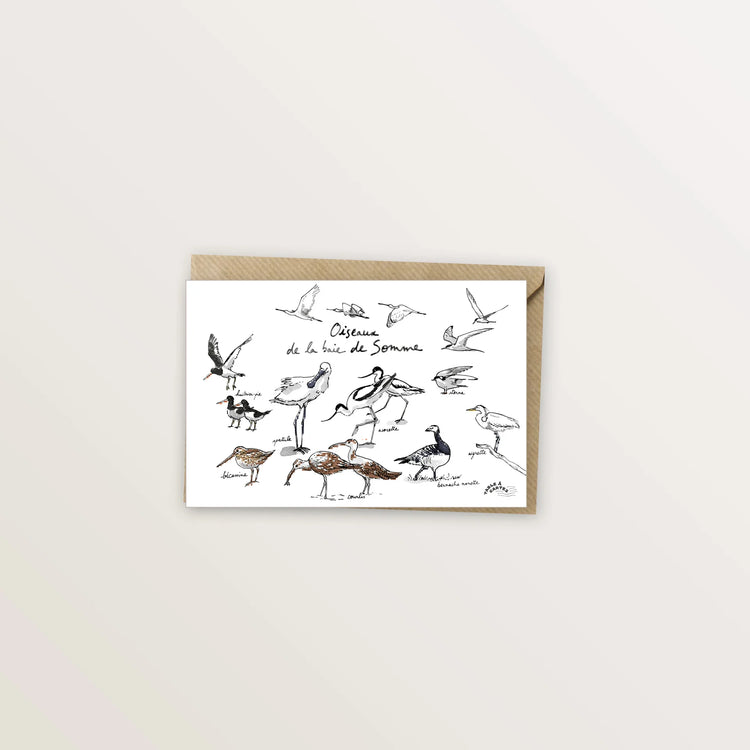Carte postale - Oiseaux de la baie de Somme