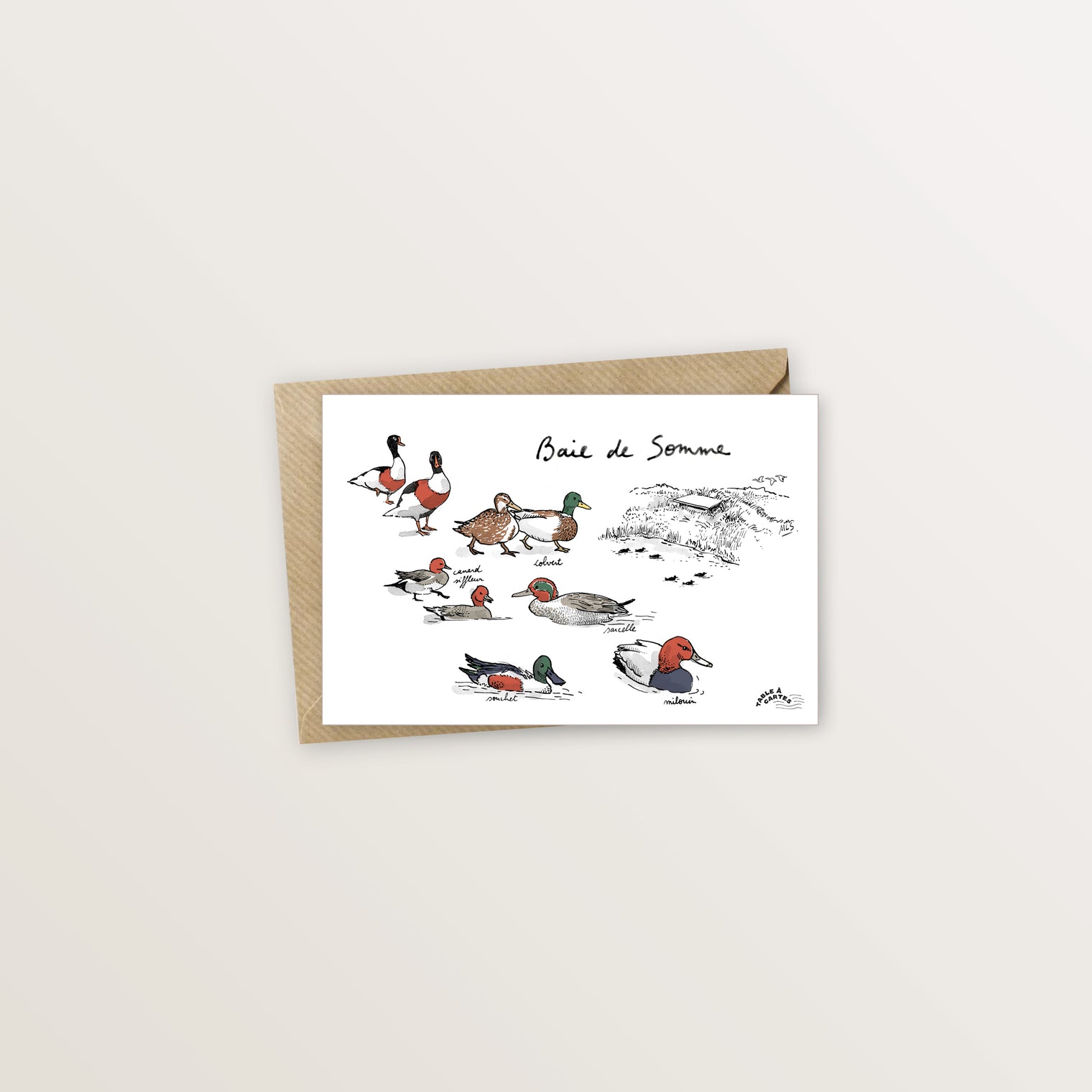 Carte postale Baie de Somme canards