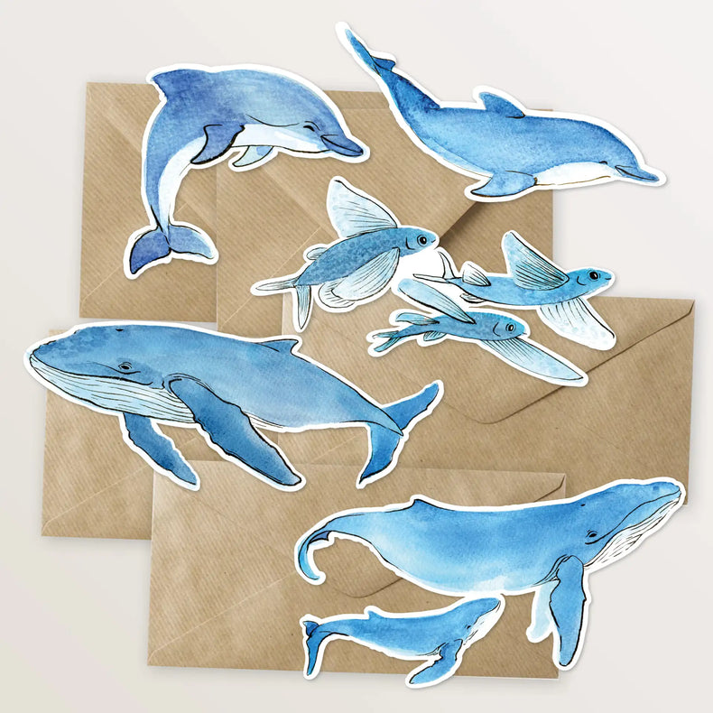 5 cartes, en forme d'animaux marins.