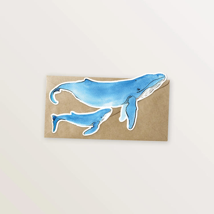5 cartes, en forme d'animaux marins.