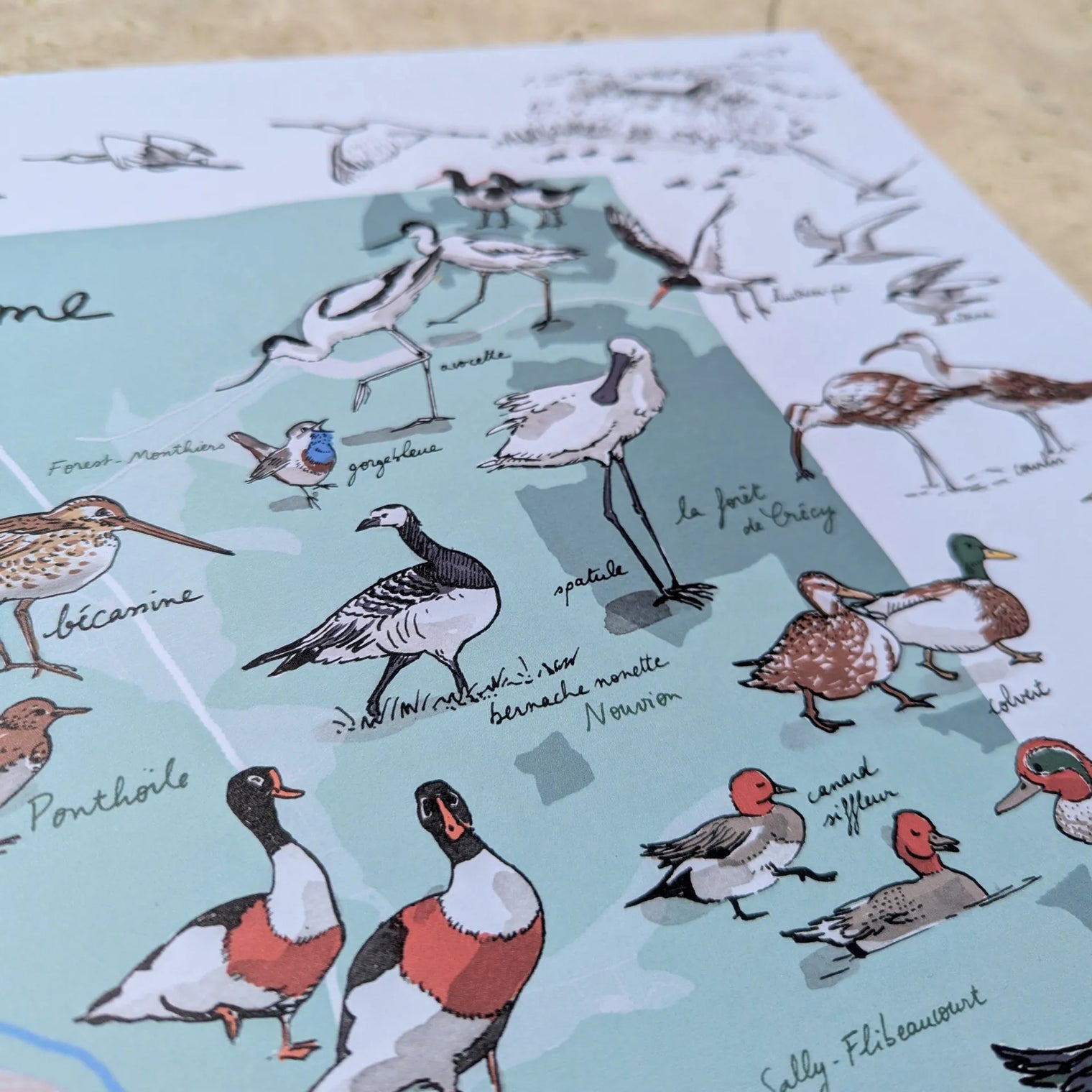 La baie de Somme - Affiche 60 x 40 cm